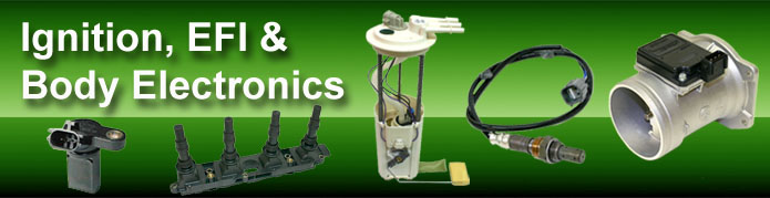 Ignition, EFI & Body Electronics